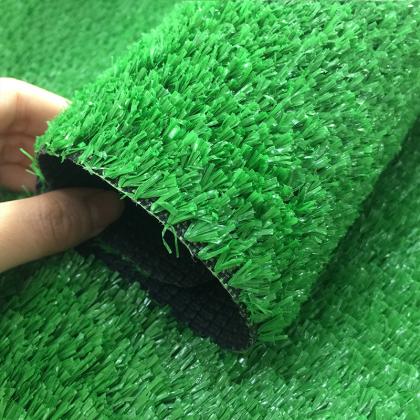 DS004 Constant temperature greening grass