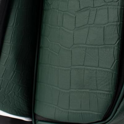 Green and white golf bag