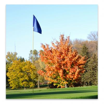 Golf flagstick