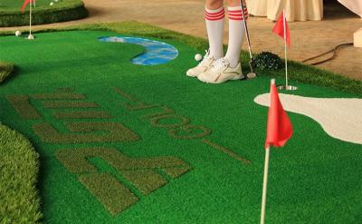 Professional Putting Practice Mat